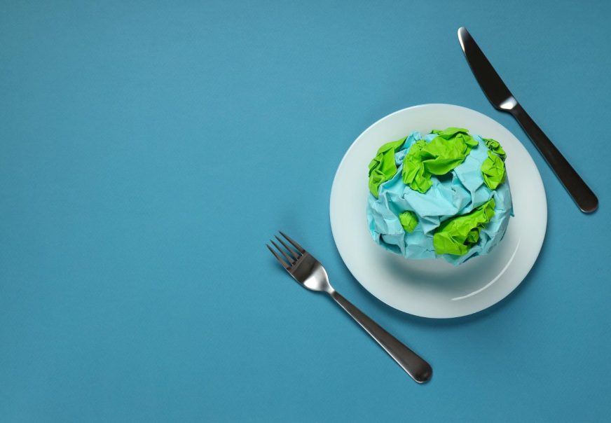 Sustainable Bites: Nourishing Our Planet, One Plate at a Time